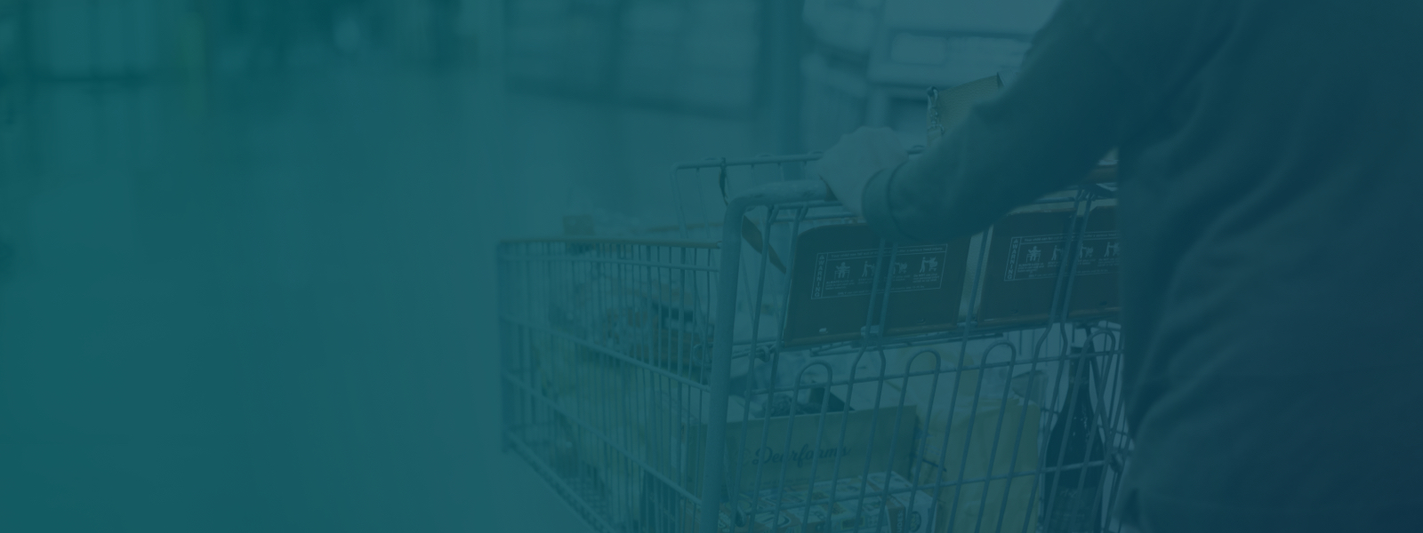 wholesale head