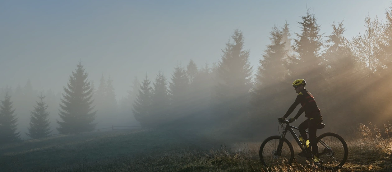 Man looking at horizon outside the forest at early morning time