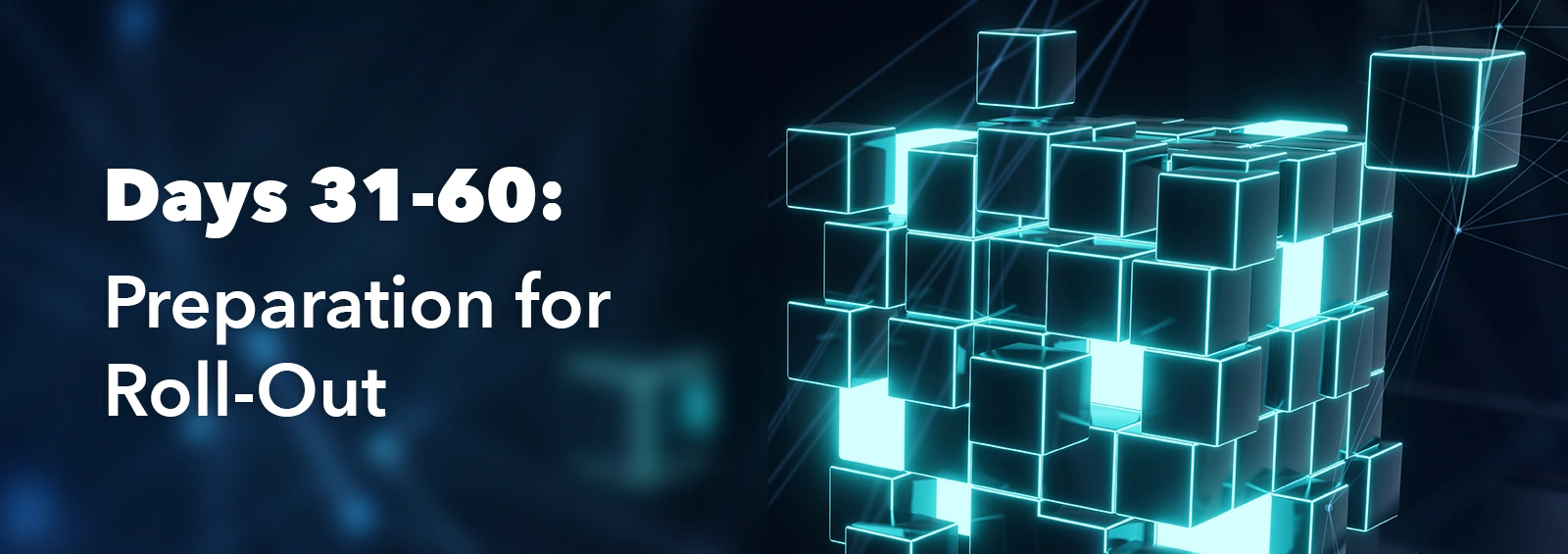 Days 31-60 Preparation for Roll-Out