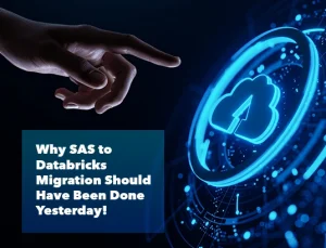 Why SAS to Databricks Migration Should Have ...