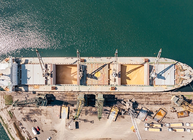 Agrocorp Int'l - Result1