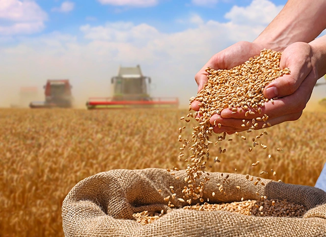 Agrocorp Int'l - Result2