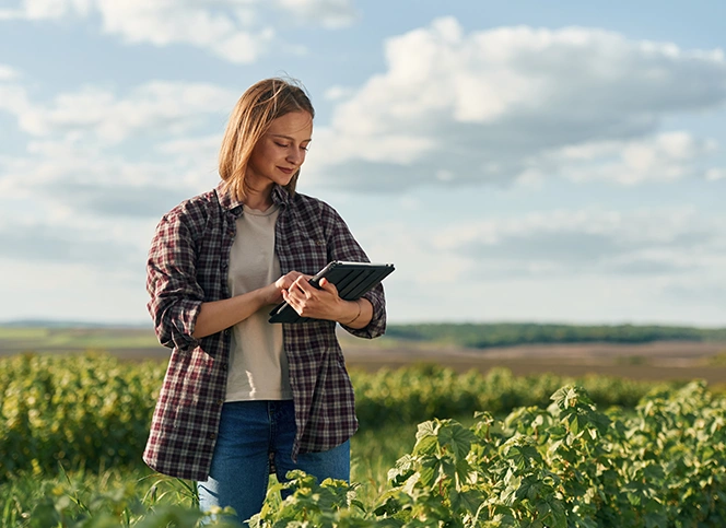 Agrocorp Int'l - Result3