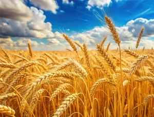 AI Drives 70% in Operational Efficiency Gains